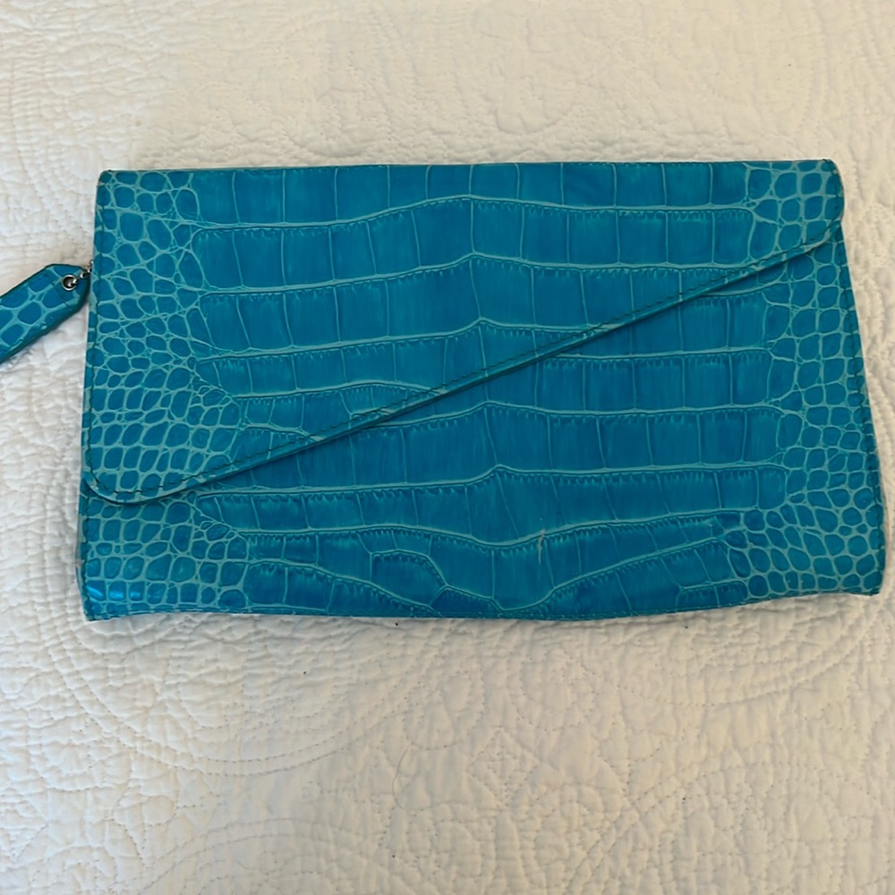 Danier Vintage Clutch 🩵